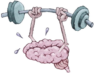 Cara Olahraga Otak Kanan