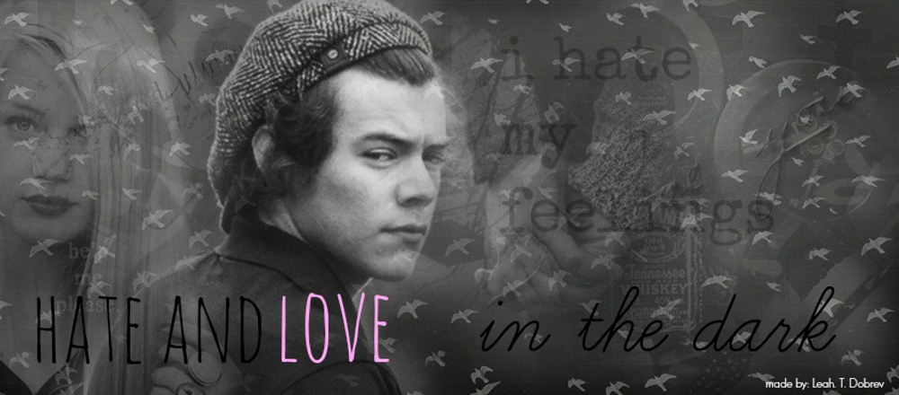 Hate and Love in the Dark [Harry Styles FanFiction]