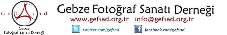 Gebze Fotoğraf Sanatı Derneği (Gefsad)