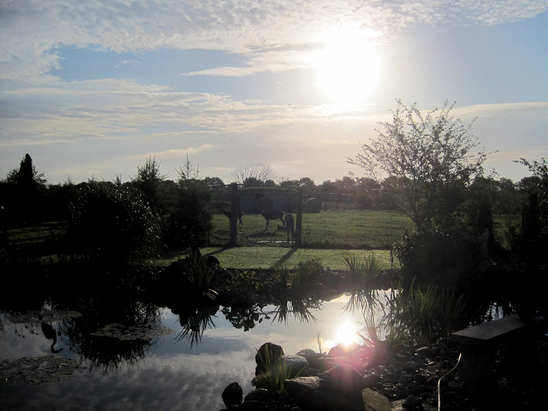 Landbohaven: kolding miniby.