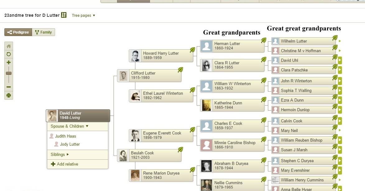 family history research by jody lutter views on myheritage family genology