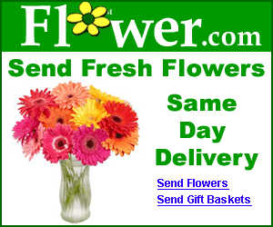 FLOWERS FOR ALL OCCASIONS