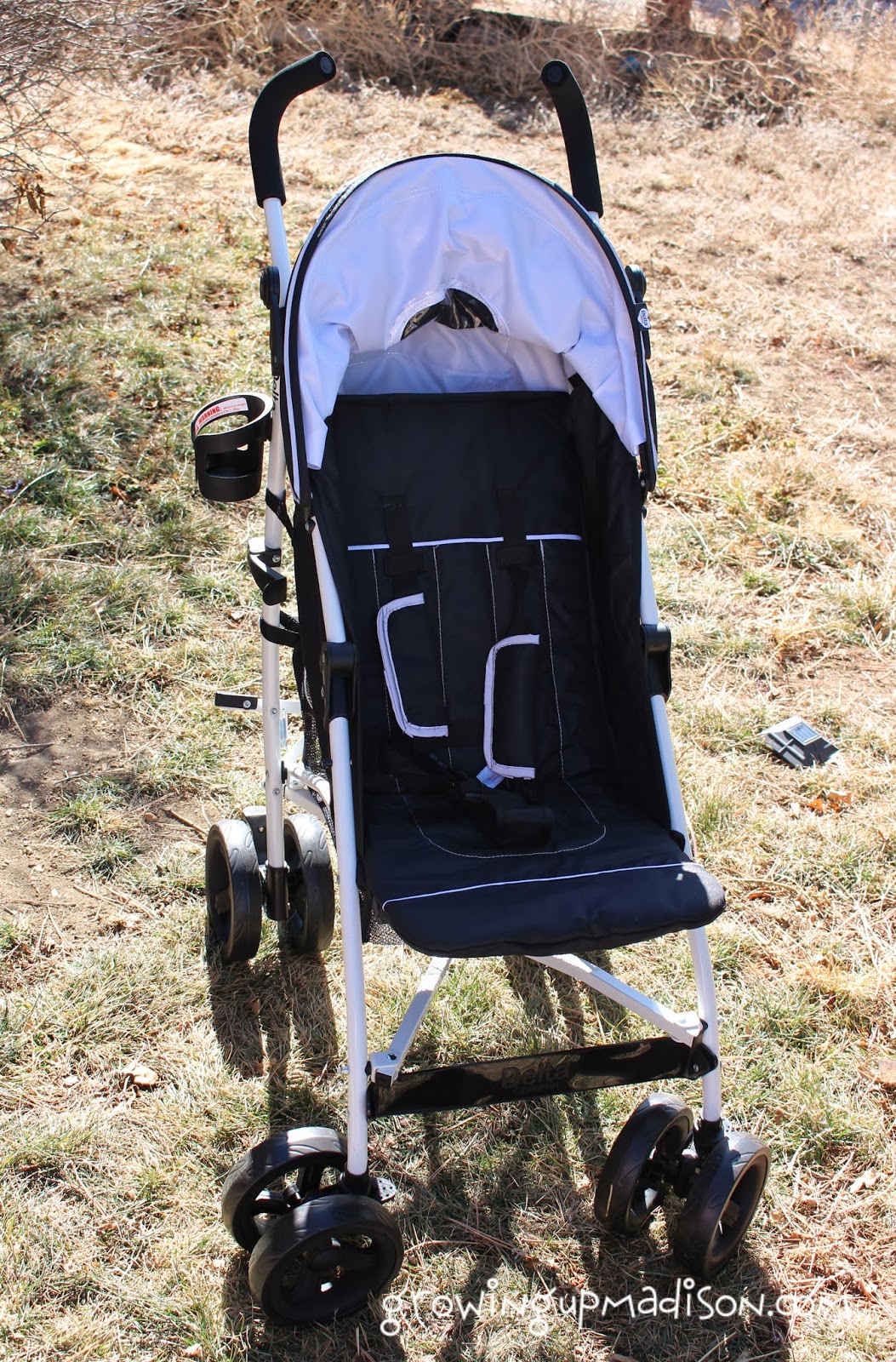 Delta LX Stroller Review AnnMarie John