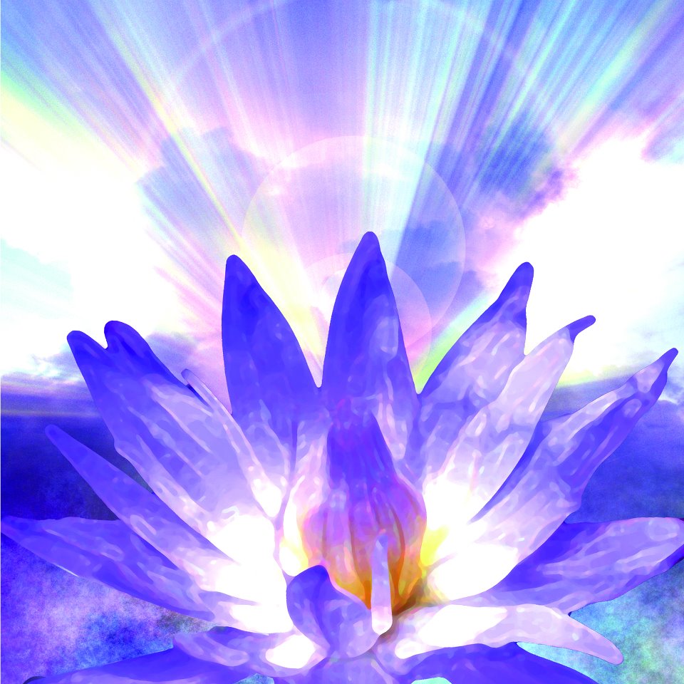 5th Dimension Divine Presence