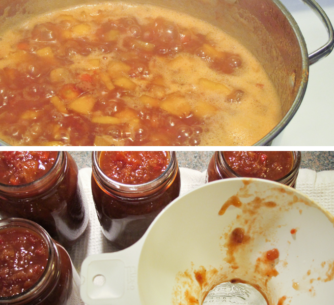 Fruit Ketchup