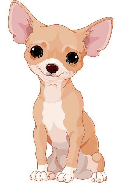 Sweet Chihuahua Icon
