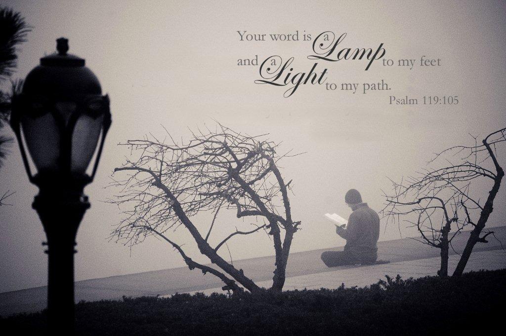 Quotes About Foggy Mornings. QuotesGram