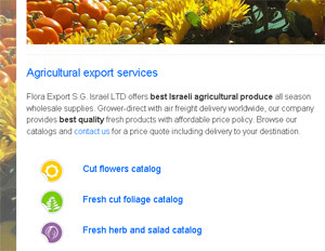 Flora Export S.G. Israel LTD new website preview