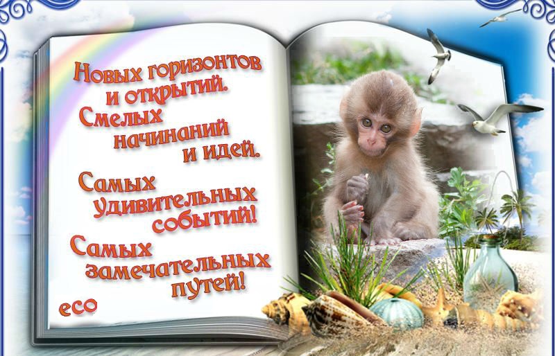 Красивый педикюр: идеи и фото дизайнов ногтей на ногах 16 Красивый педикюр: идеи и фото дизайнов ногтей на ногах 76