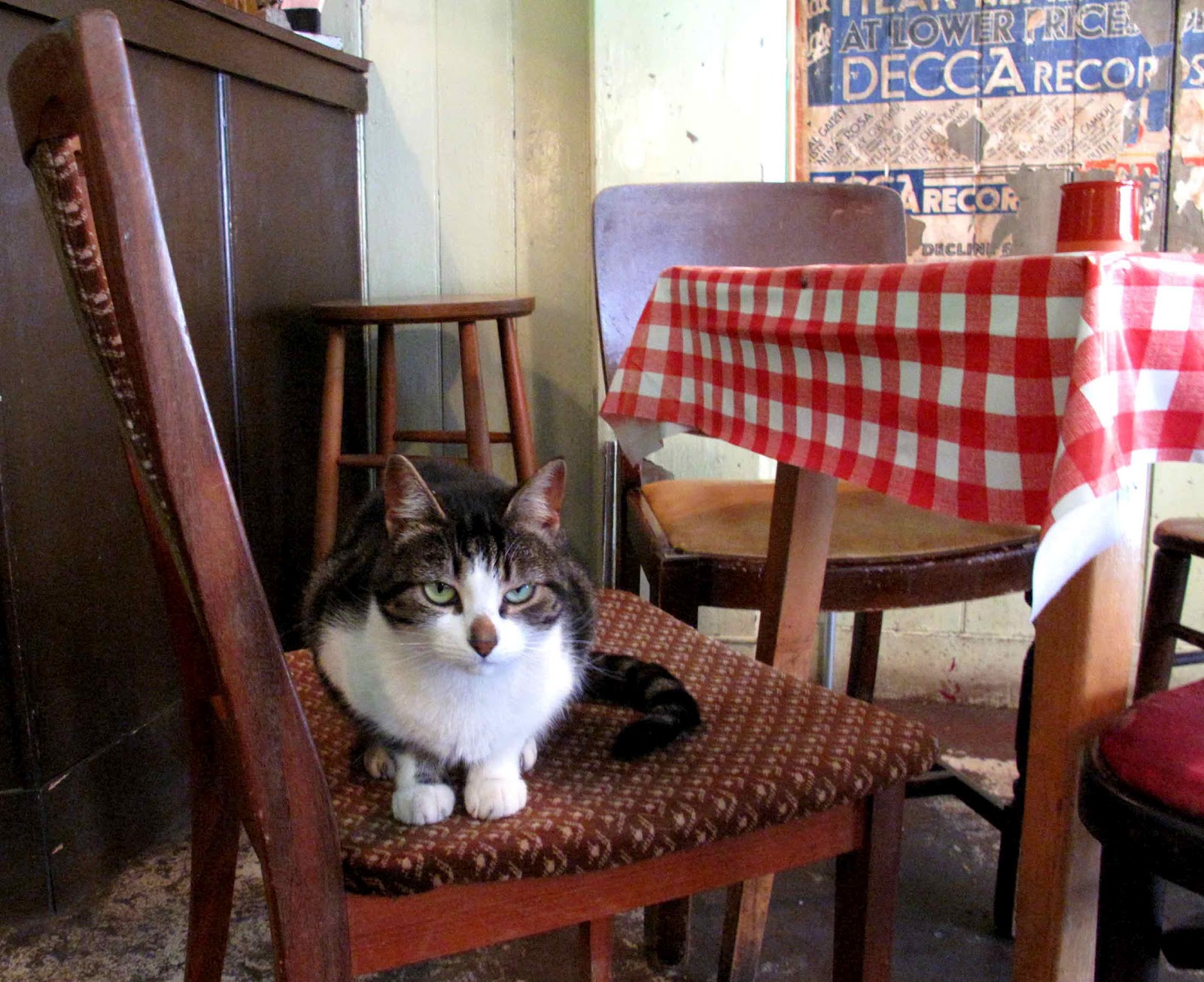 Blogesteix Cafe Cats and Cat Cafes