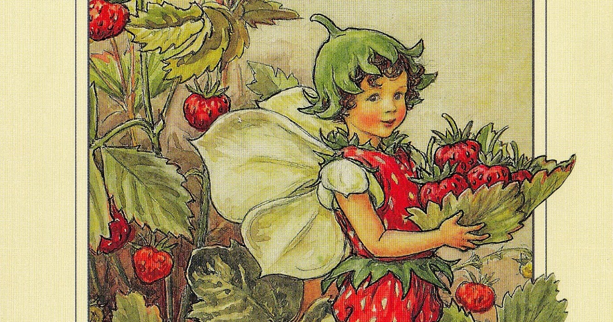 Connections to the World The Strawberry Fairy