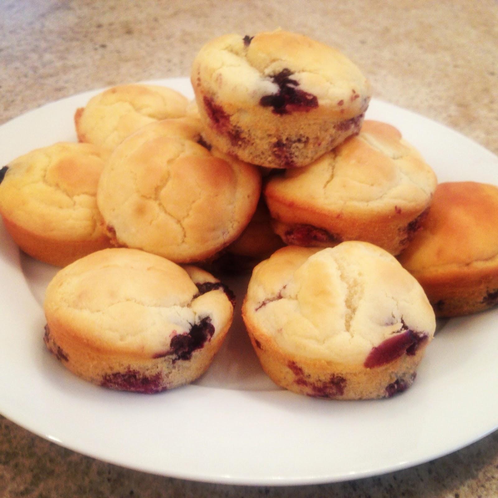 Fructose Friendly Food Adventures Tummy Friendly Blueberry Muffins