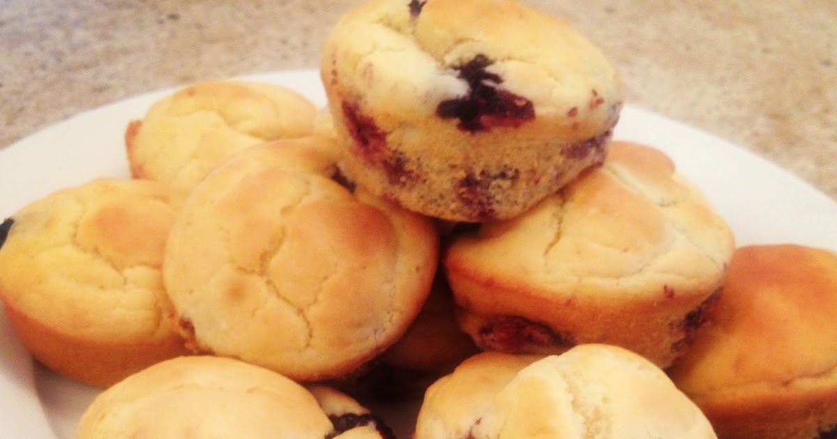 Fructose Friendly Food Adventures Tummy Friendly Blueberry Muffins