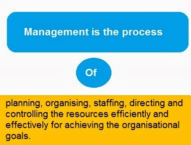 Principles of management case study questions and answers pdf picture