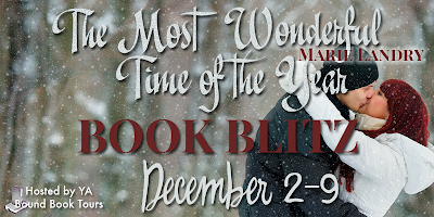 {Book Blitz Giveaway} The Most Wonderful Time of the Year by Marie Landry