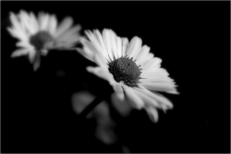 emphoka, photo of the day, Ufuk Tozelik, Olympus XZ-1 emphoka, photo of the day, Ufuk Tozelik, Olympus XZ-1