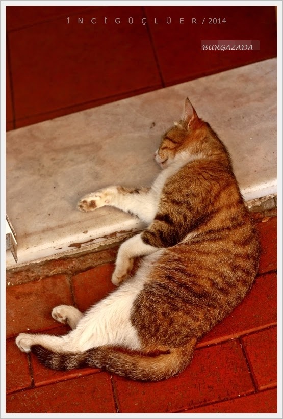 Aklımda Kalanlar&hellip;