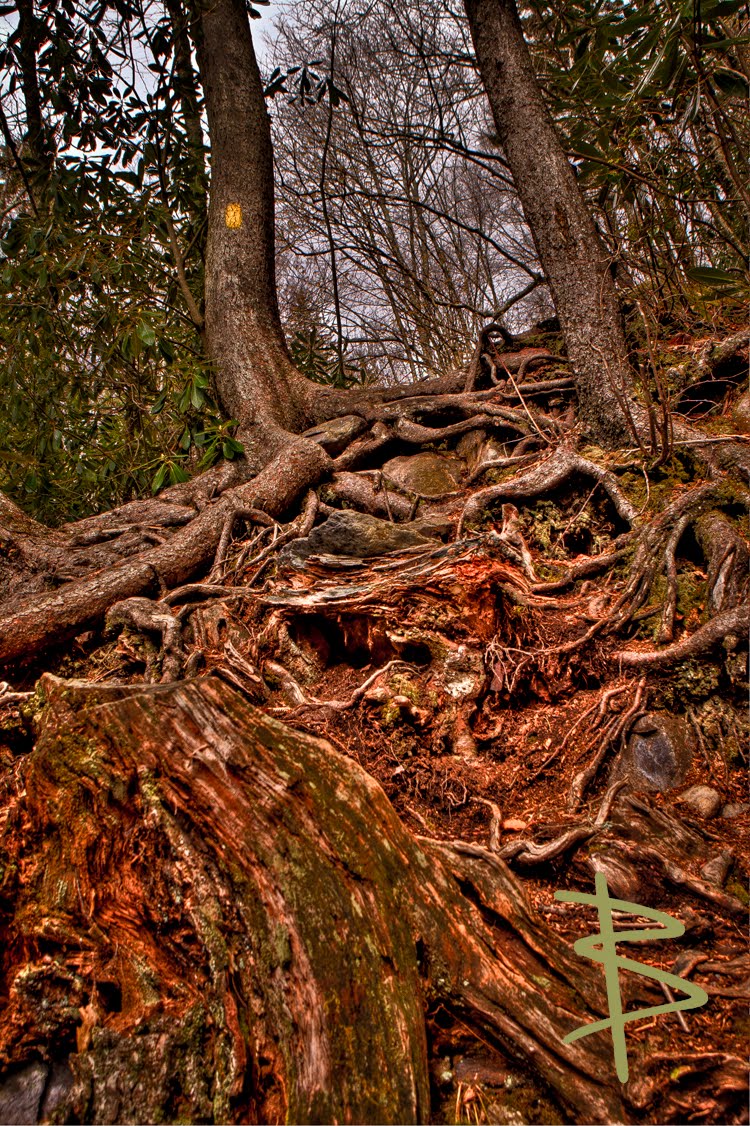 IMAGE: http://4.bp.blogspot.com/-JA4ztCVzpAk/T5CBHcwkmVI/AAAAAAAAA7U/KgGnxsAP-xo/s1600/mtrogers-1-7%252Bcopy.jpg