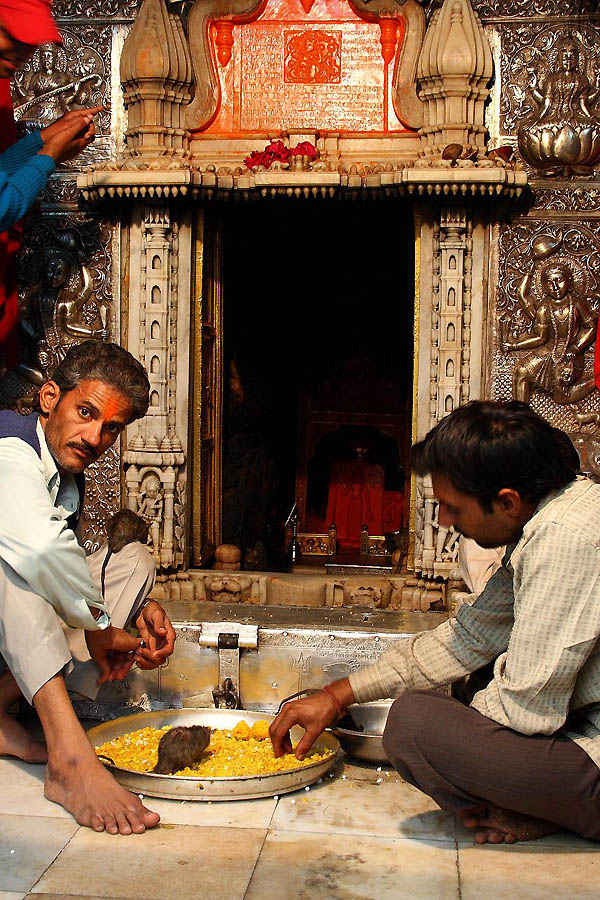 India India
