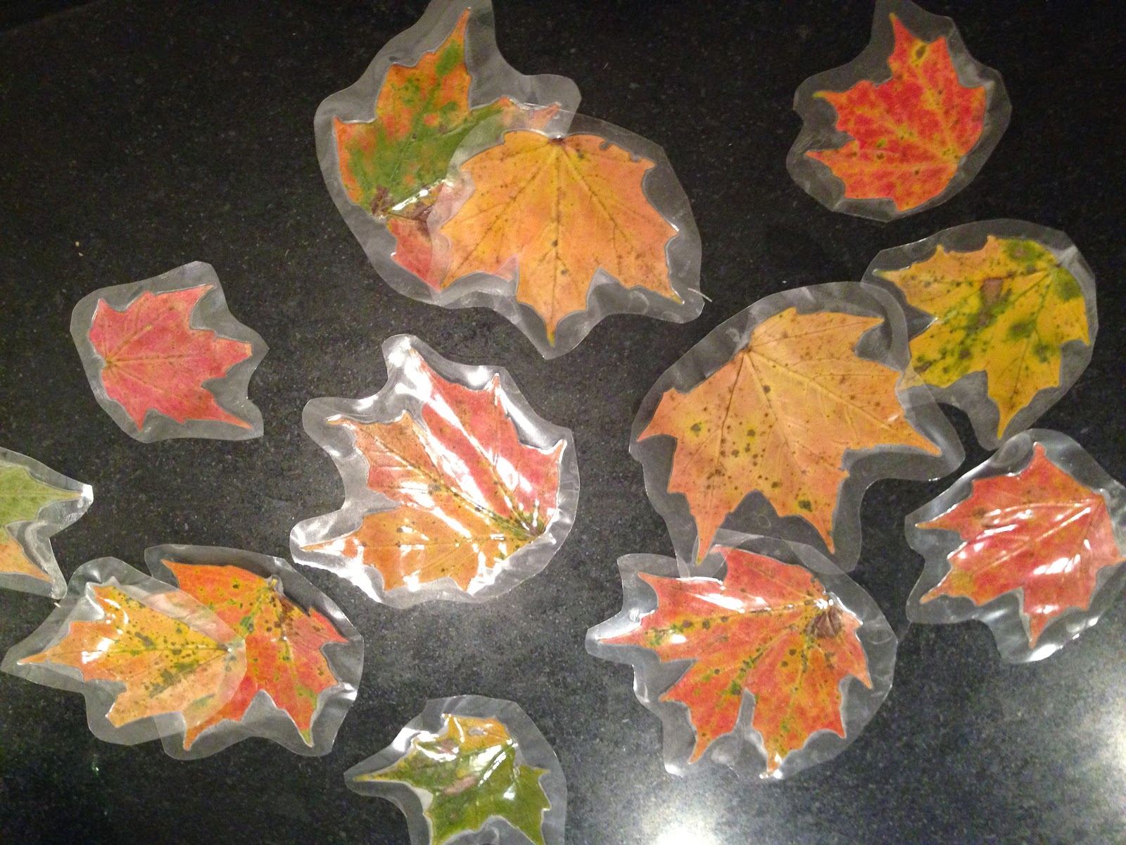 Can You Laminate Leaves To Preserve Them at Jesse James blog