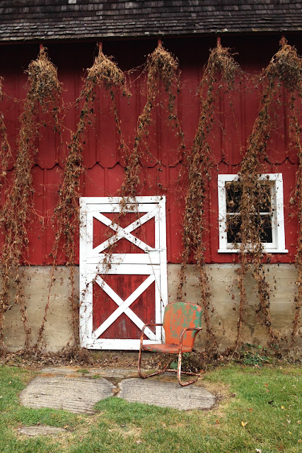 red barn, hops, Seed Savers Exchange Heritage Farm, Anne Butera, My Giant Strawberry