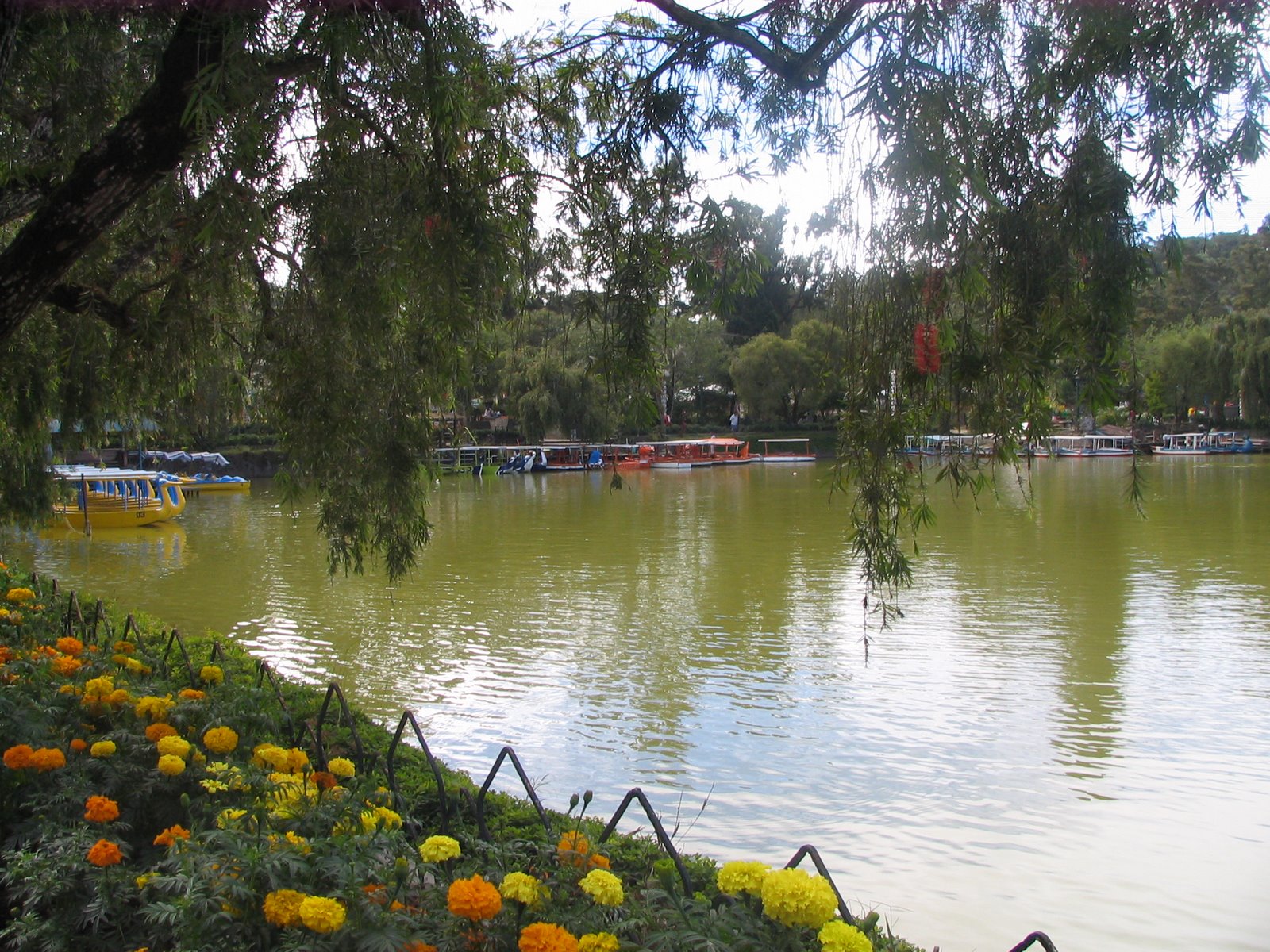baguio burnham park