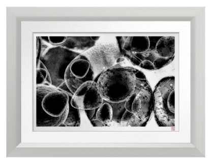 Singapore Sojourn: Today's New Art Works