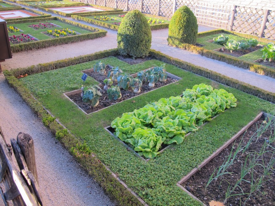 pequena horta no jardim:Sustentabilidade é Acção: Hortas-jardim e Jardins-horta pequena horta no jardim:Sustentabilidade é Acção: Hortas-jardim e Jardins-horta