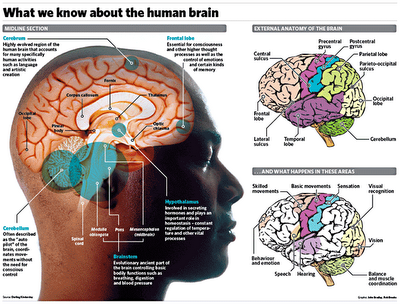 things to help improve memory