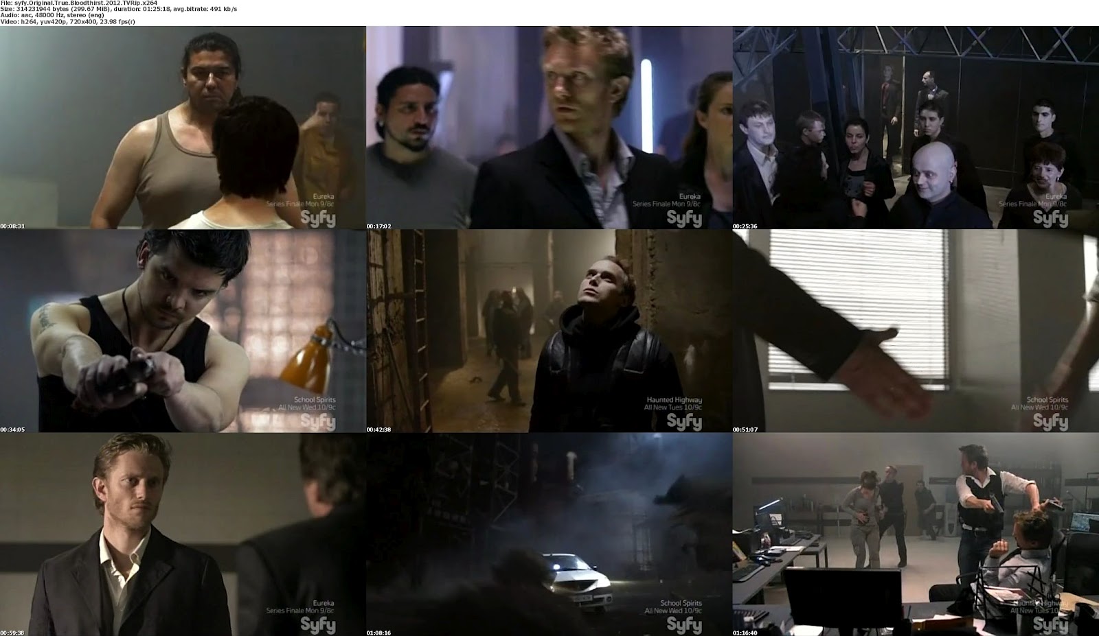 The Grey 2011 Dvdrip Xvid Amiable
