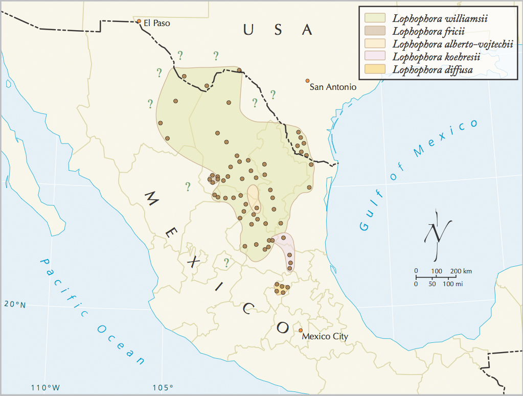 LOPHOPHORA Geographic distribution of peyote / Lophophora diversity