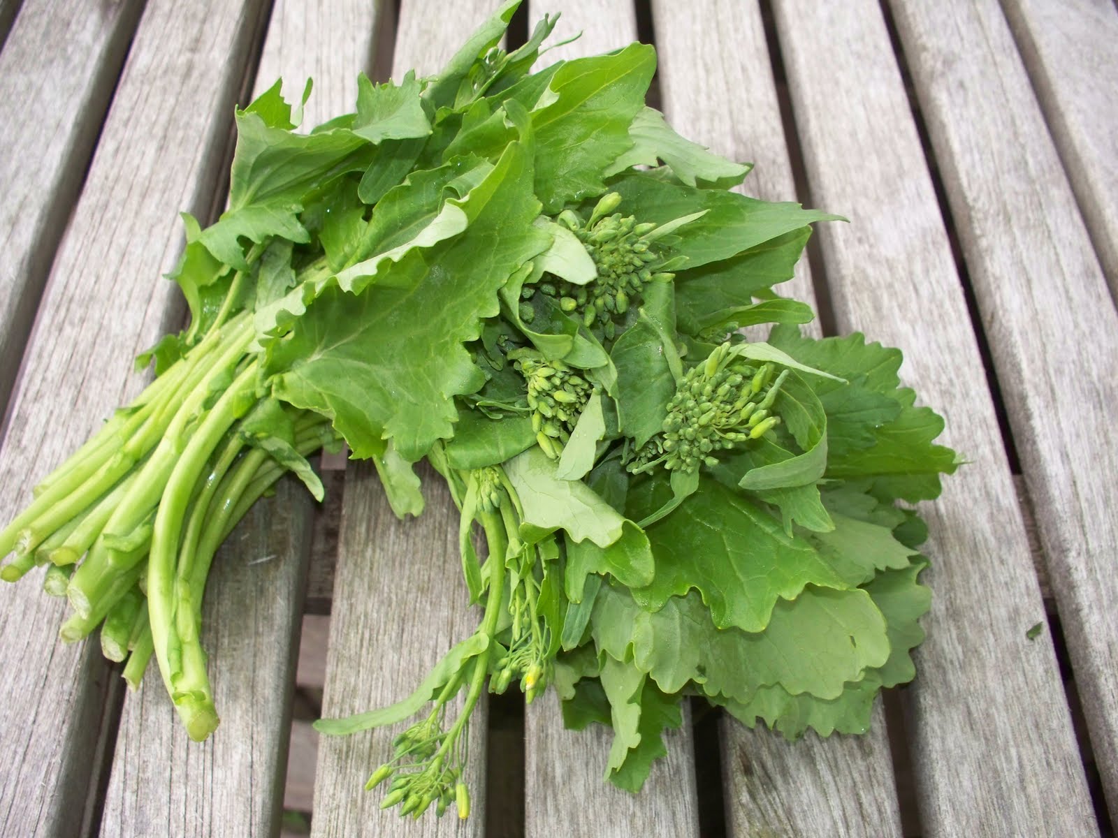 two farm shares Broccoli Rabe Embracing the Bitter