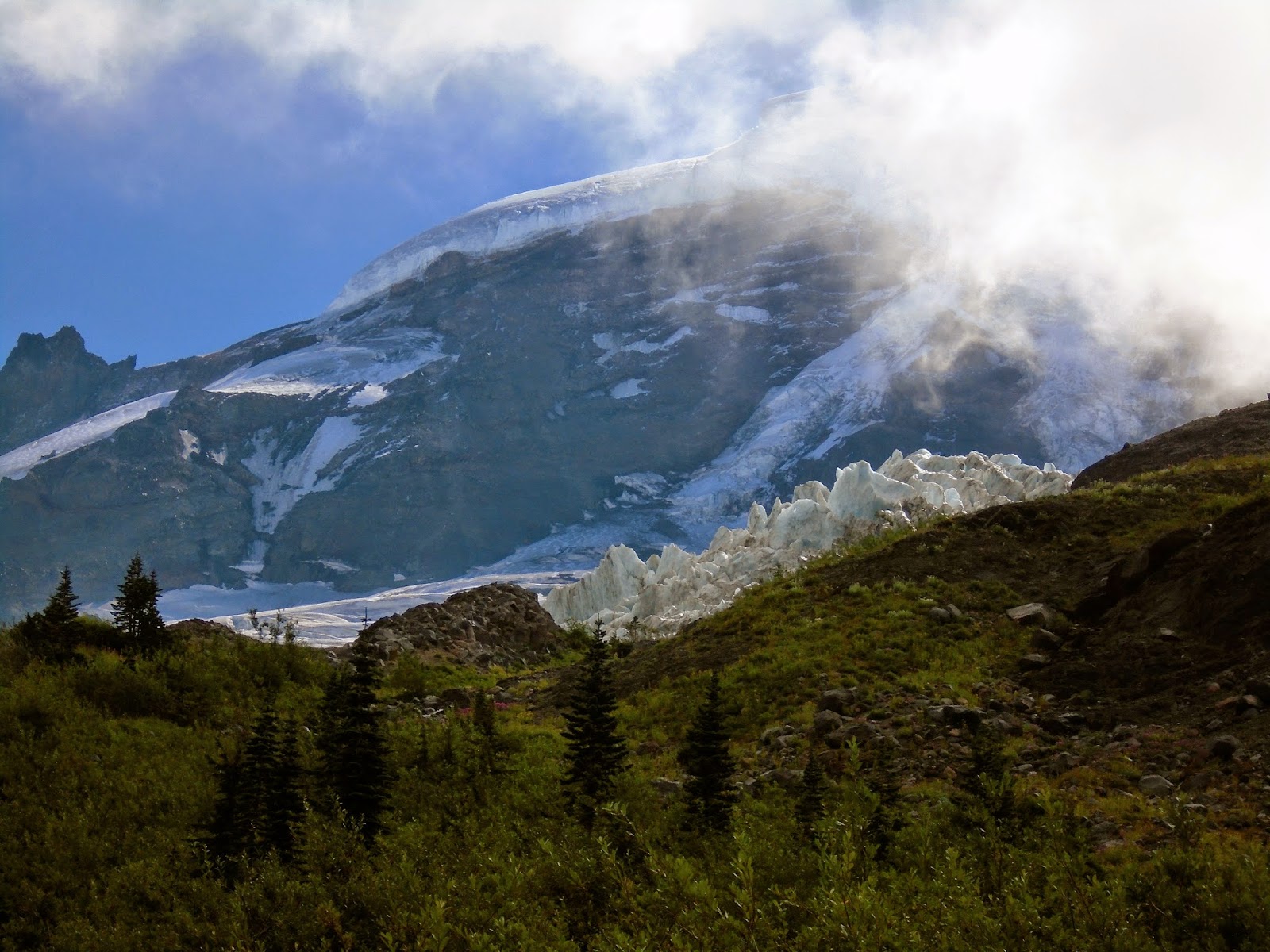 Marblemount Homestead Our amazing rite of passage