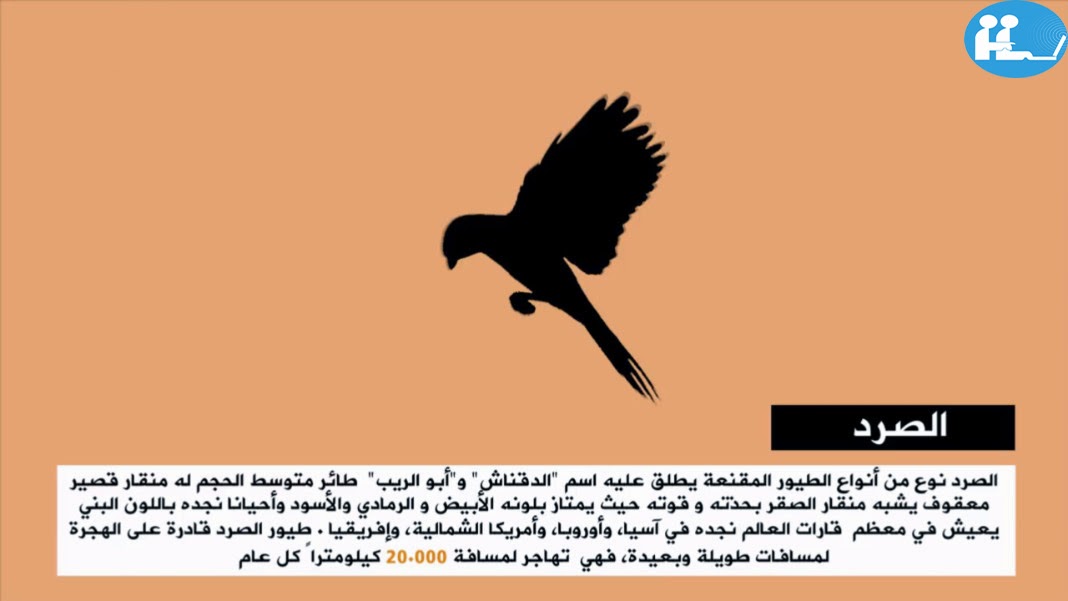 مدونة منقول للمواضيع العامة حيوانات محرم قتلها في الاسلام