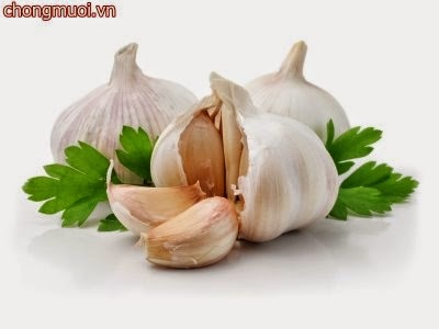 cách chống muỗi bằng nước tỏi cách chống muỗi bằng nước tỏi