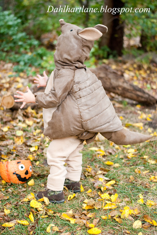 Dahlhart Lane Armadillo Costume