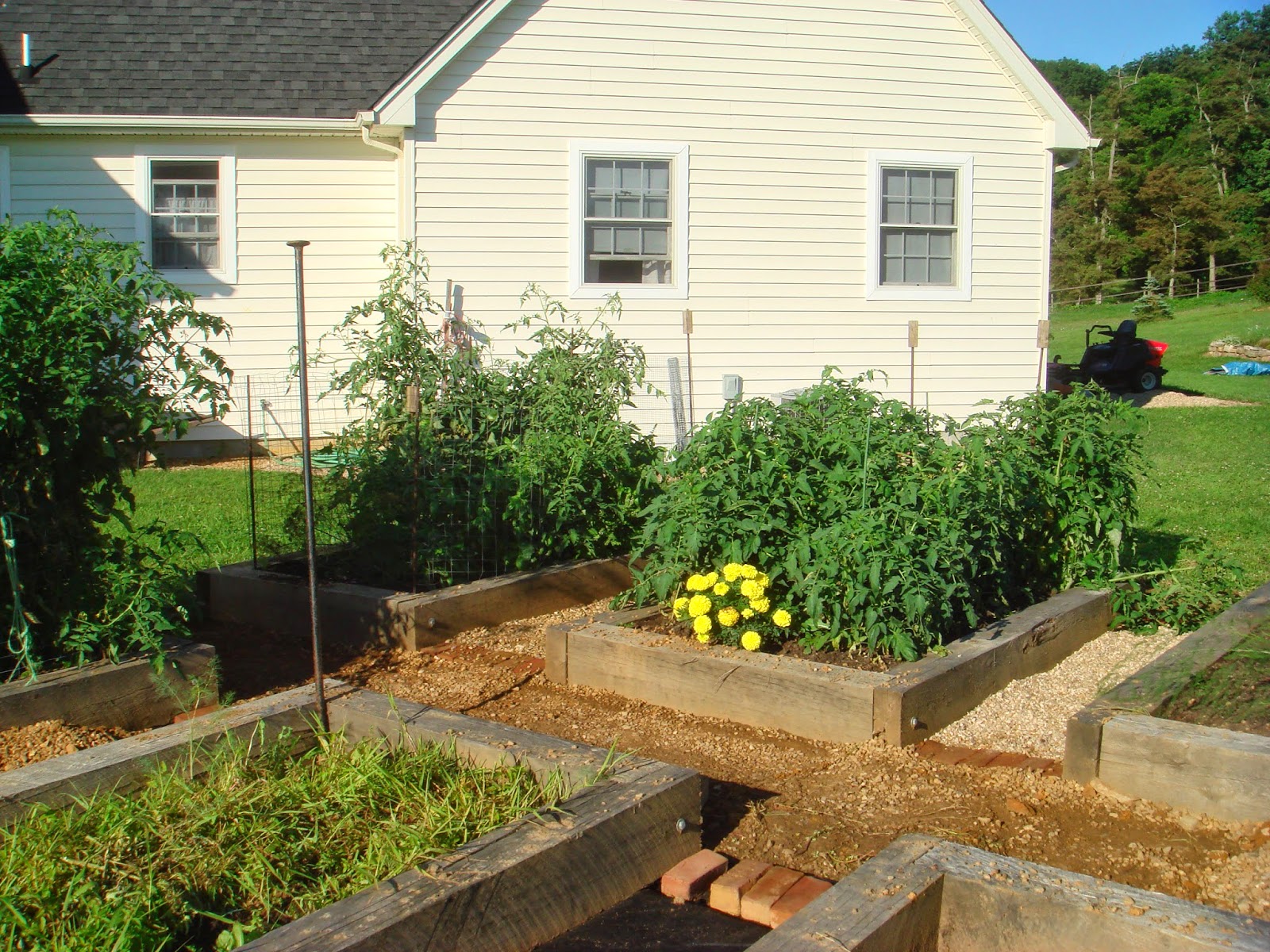 Today...: Building Raised Garden Beds