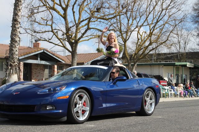 Almond Blossom Parade