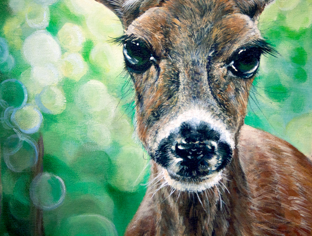 Melissa Adams Art "Doe Eyes" Painting of a Deer by Melissa Adams