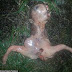 Woman found a strange 'alien-like' creature in her garden! Terrifying!