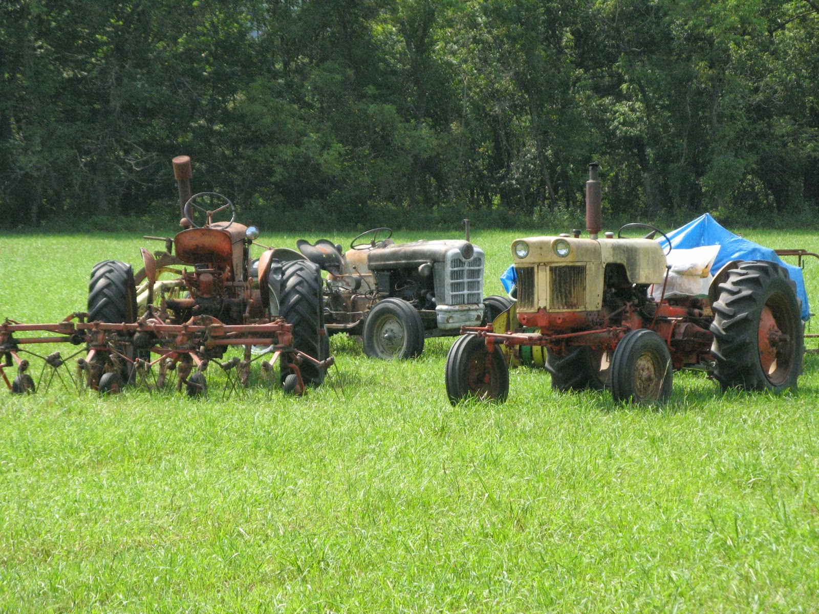 Animal Instinct Ducks and Tractor VIEW