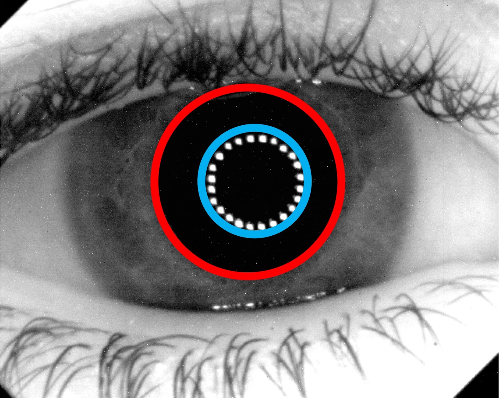 Pablo Artal Blog Achromatic axis and corneal reflections in the eye