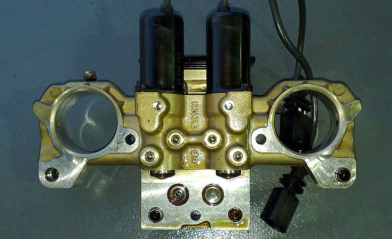Variable valve timing actuators and it's under-engineered screens, the Achilles heel of the W8 (notice the missing screen on the left oil port).