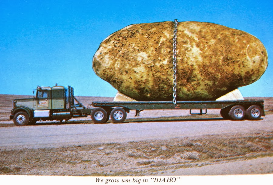 The Carpetbagger The World's Largest Potato