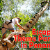 Escape Theme Park in Penang