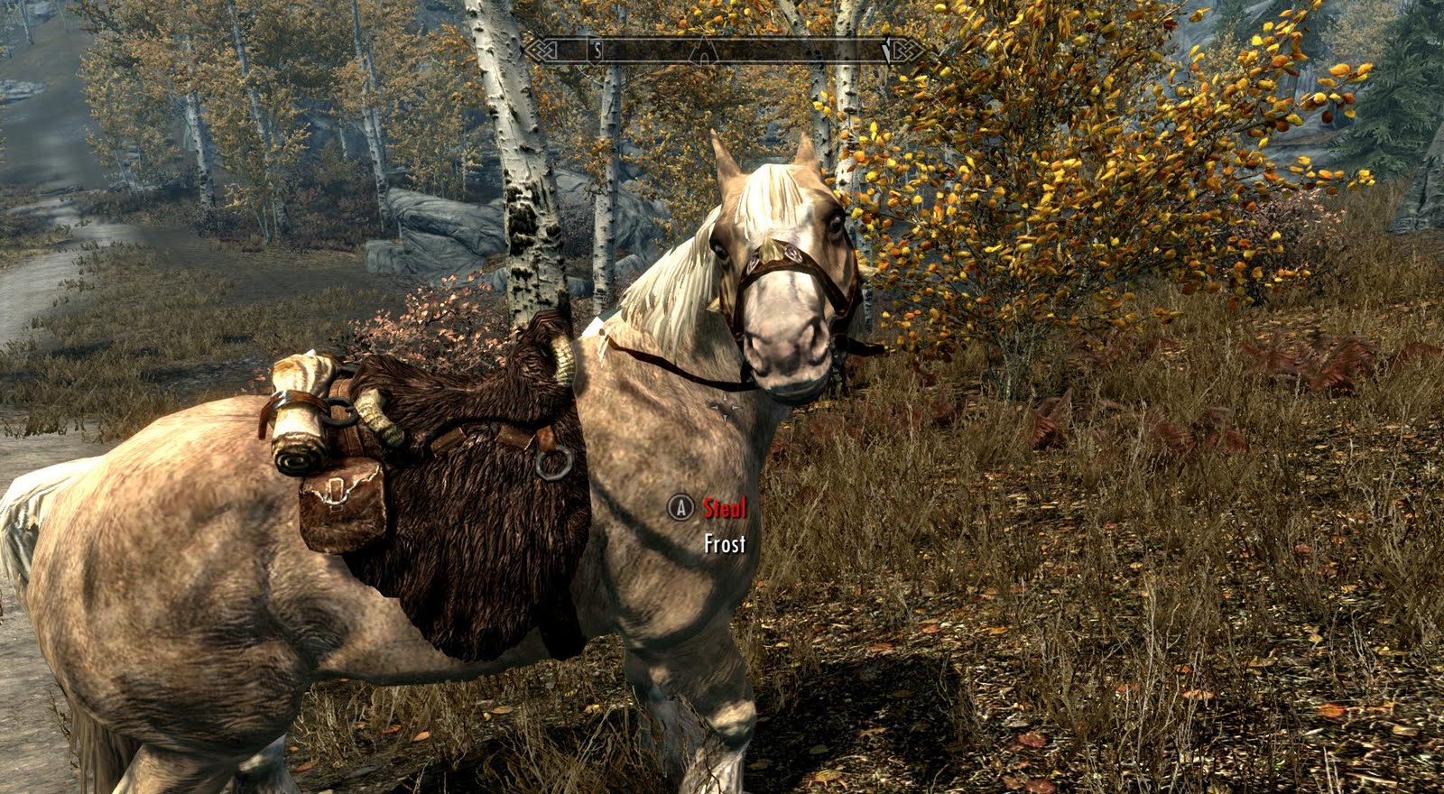 Thinking 1440 Skyrim Get a Free horse...(Video)