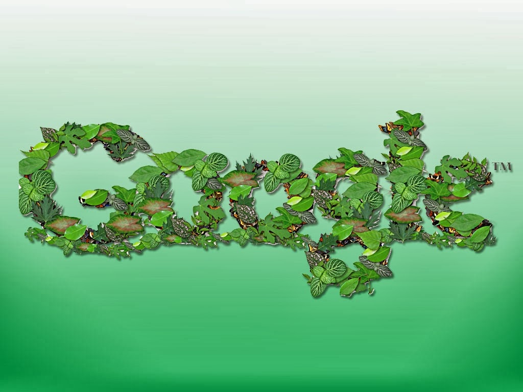 Hd Wallpapers Blog: Google Wallpapers for Desktop