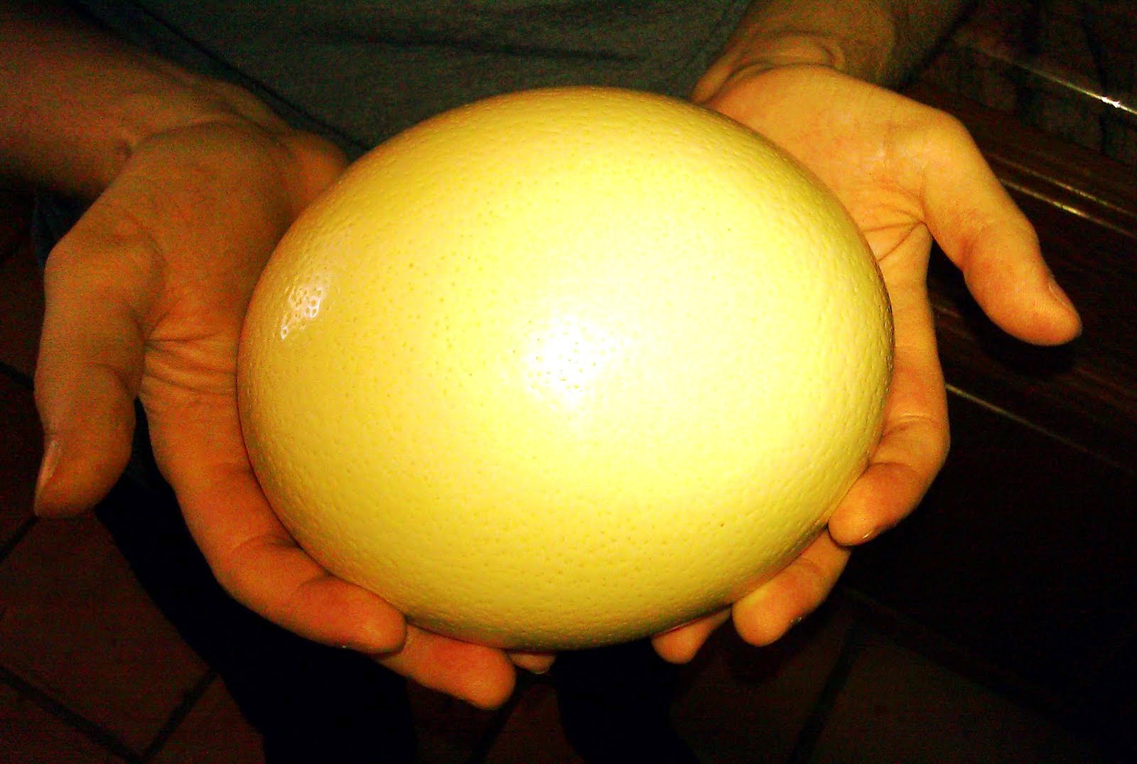 OSTRICH EGG PAINTED by MISHIBINIJIMA VIDEO