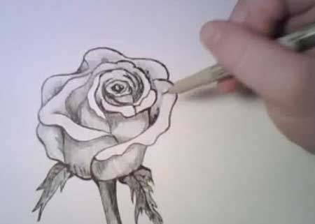 Drawing a Rose - Manga