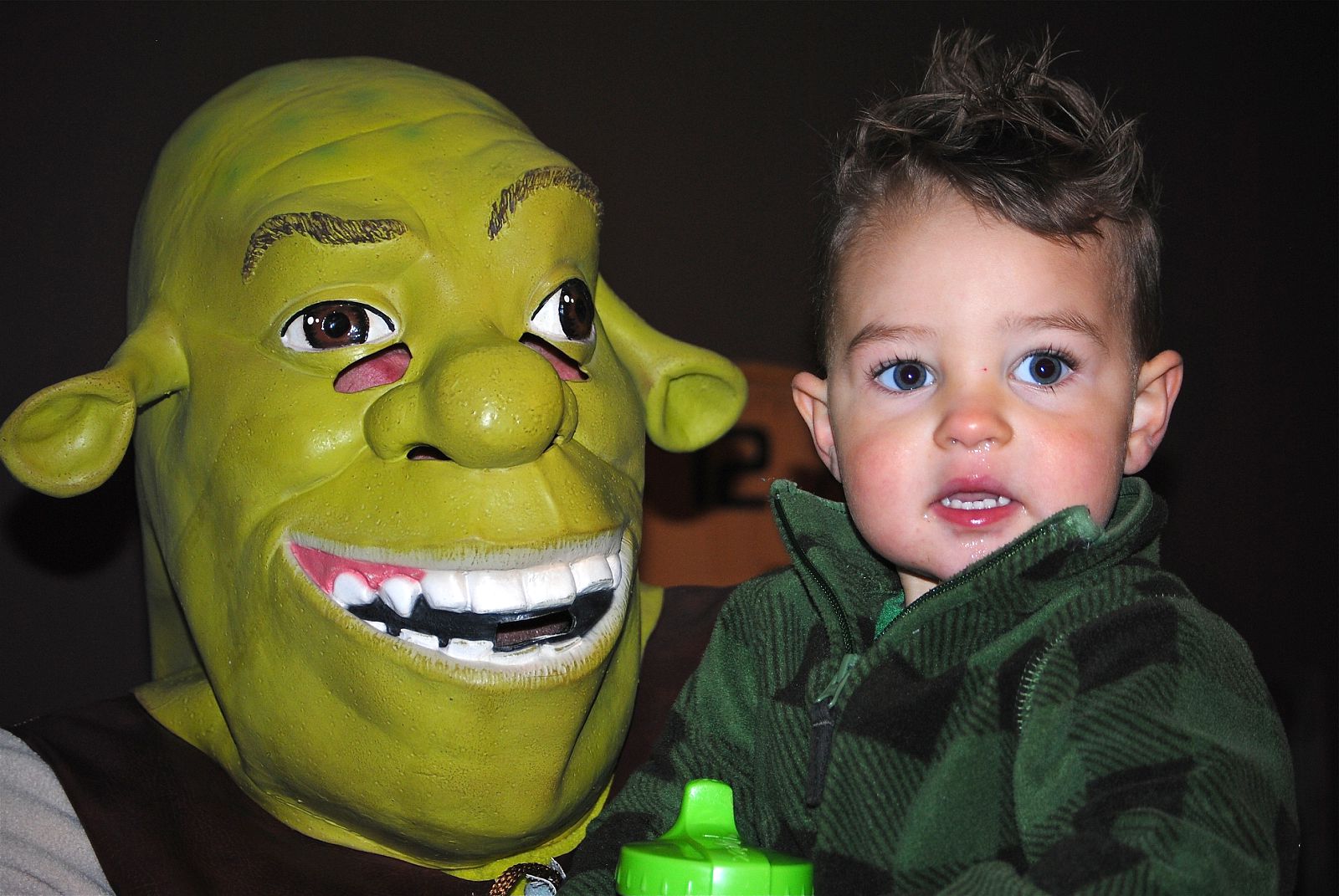 Life, Love and Being a Mom: Shrek Birthday Party